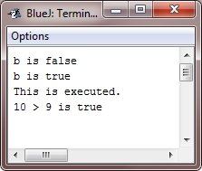 java boolean