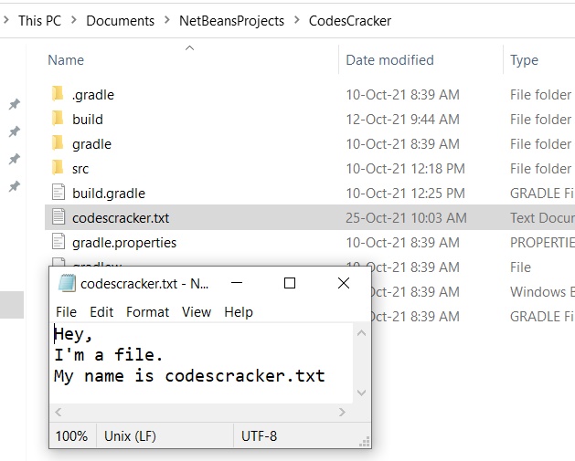 java read and display the content of file
